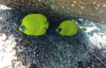 Zdjęcie z safari wrakowego - wrzesień 2012