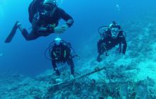 Zdjęcie z safari wrakowego - wrzesień 2012