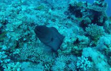 Zdjęcie z safari wrakowego - wrzesień 2012