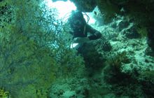 Zdjęcie z safari wrakowego - wrzesień 2012