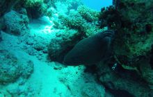 Zdjęcie z safari wrakowego - wrzesień 2012