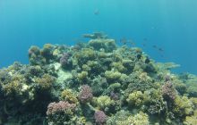 Zdjęcie z safari wrakowego - wrzesień 2012