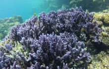 Zdjęcie z safari wrakowego - wrzesień 2012