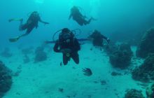 Zdjęcie z safari wrakowego - wrzesień 2012