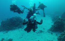 Zdjęcie z safari wrakowego - wrzesień 2012