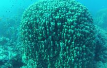 Zdjęcie z safari wrakowego - wrzesień 2012