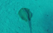 Zdjęcie z safari wrakowego - wrzesień 2012