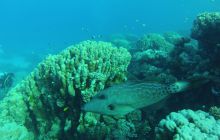 Zdjęcie z safari wrakowego - wrzesień 2012