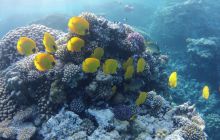 Zdjęcie z safari wrakowego - wrzesień 2012