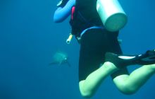 Zdjęcie z safari wrakowego - wrzesień 2012