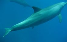 Zdjęcie z safari wrakowego - wrzesień 2012