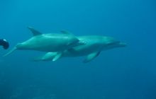 Zdjęcie z safari wrakowego - wrzesień 2012