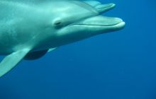 Zdjęcie z safari wrakowego - wrzesień 2012