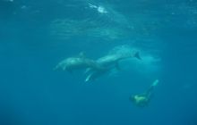 Zdjęcie z safari wrakowego - wrzesień 2012