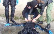 Zdjęia z kursu Stress&Rescue