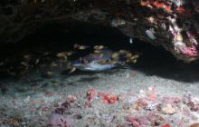 Zdjęcia z wyjazdu Malediwy, Sri Lanka