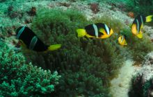 Zdjęcia z wyjazdu Malediwy, Sri Lanka