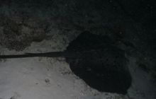 Zdjęcia z wyjazdu Malediwy, Sri Lanka