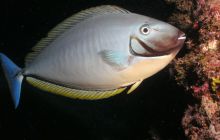 Zdjęcia z wyjazdu Malediwy, Sri Lanka