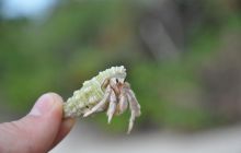 Zdjęcia z wyjazdu Malediwy, Sri Lanka