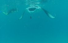 Zdjęcia z wyjazdu Malediwy, Sri Lanka