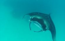 Zdjęcia z wyjazdu Malediwy, Sri Lanka