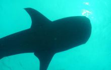 Zdjęcia z wyjazdu Malediwy, Sri Lanka