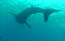 Zdjęcia z wyjazdu Malediwy, Sri Lanka