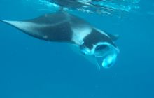 Zdjęcia z wyjazdu Malediwy, Sri Lanka