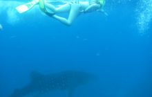 Zdjęcia z wyjazdu Malediwy, Sri Lanka