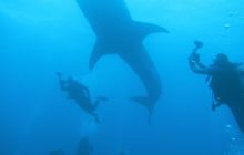 Zdjęcia z wyjazdu Malediwy, Sri Lanka