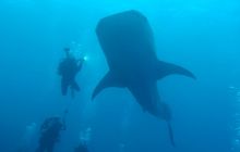 Zdjęcia z wyjazdu Malediwy, Sri Lanka