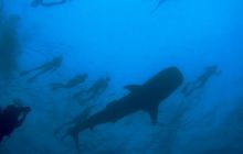 Zdjęcia z wyjazdu Malediwy, Sri Lanka