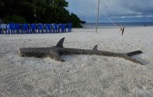 Zdjęcia z wyjazdu Malediwy, Sri Lanka