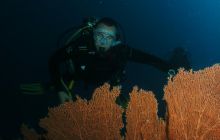 Zdjęcia z wyjazdu Malediwy, Sri Lanka