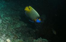 Zdjęcia z wyjazdu Malediwy, Sri Lanka