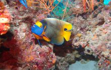 Zdjęcia z wyjazdu Malediwy, Sri Lanka