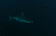 Zdjęcia z wyjazdu Malediwy, Sri Lanka