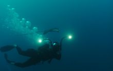 Zdjęcia z wyjazdu Malediwy, Sri Lanka