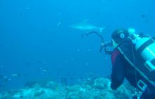 Zdjęcia z wyjazdu Malediwy, Sri Lanka