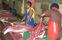 Zdjęcia z wyjazdu Malediwy, Sri Lanka