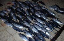 Zdjęcia z wyjazdu Malediwy, Sri Lanka