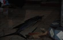 Zdjęcia z wyjazdu Malediwy, Sri Lanka