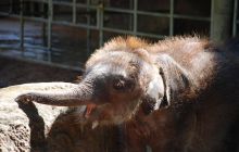 Zdjęcia z wyjazdu Malediwy, Sri Lanka