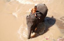 Zdjęcia z wyjazdu Malediwy, Sri Lanka