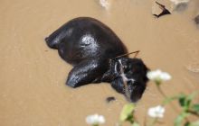 Zdjęcia z wyjazdu Malediwy, Sri Lanka