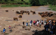 Zdjęcia z wyjazdu Malediwy, Sri Lanka