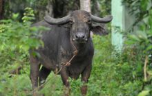 Zdjęcia z wyjazdu Malediwy, Sri Lanka