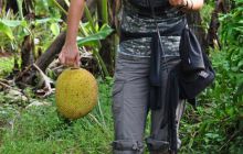 Zdjęcia z wyjazdu Malediwy, Sri Lanka