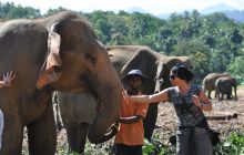 Zdjęcia z wyjazdu Malediwy, Sri Lanka